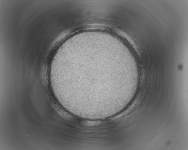 X0000116461403201001201250