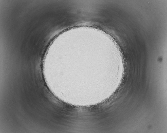 X0000116461404201001201250