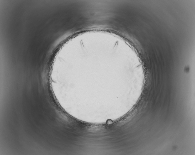 X0000116461406201001201250