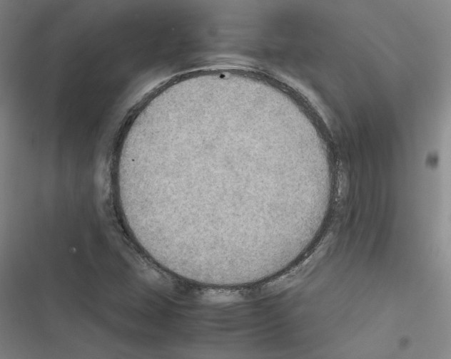 X0000116461407201001201250