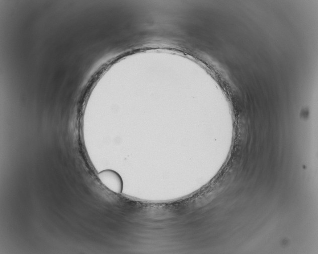 X0000116461408201001201250