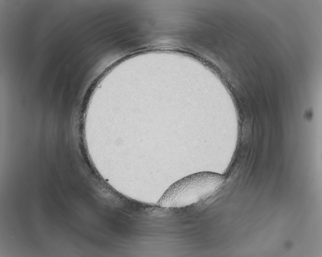 X0000116461410201001201250