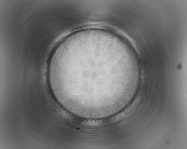 X0000116461411201001201250