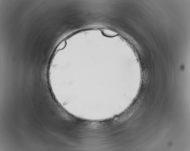 X0000116461412201001201250