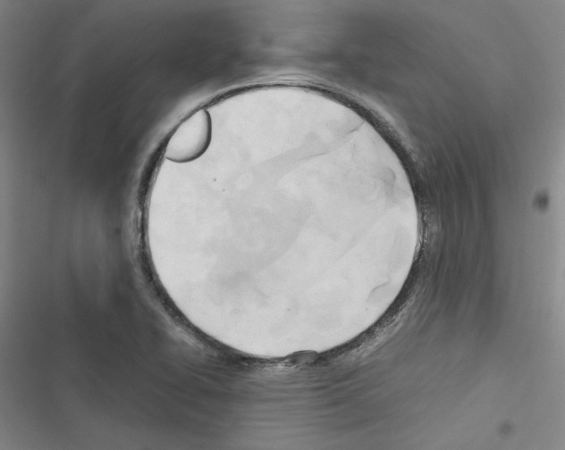 X0000116461414201001201251
