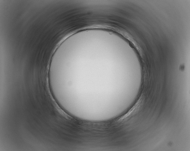 X0000116461417201001201251