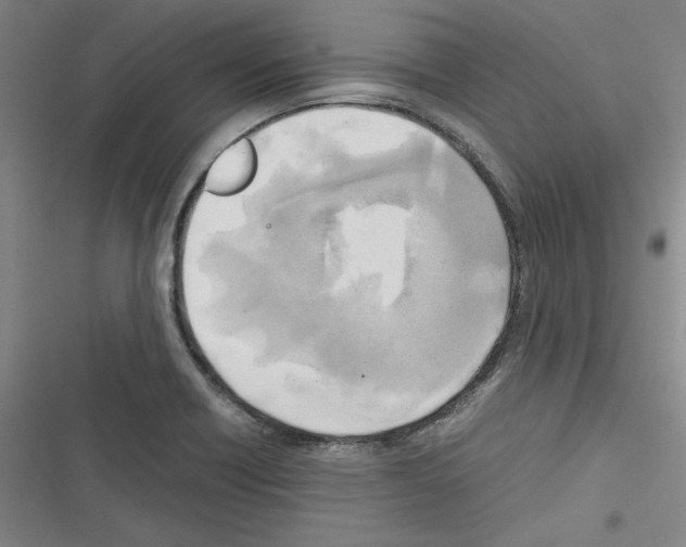 X0000116461418201001201251