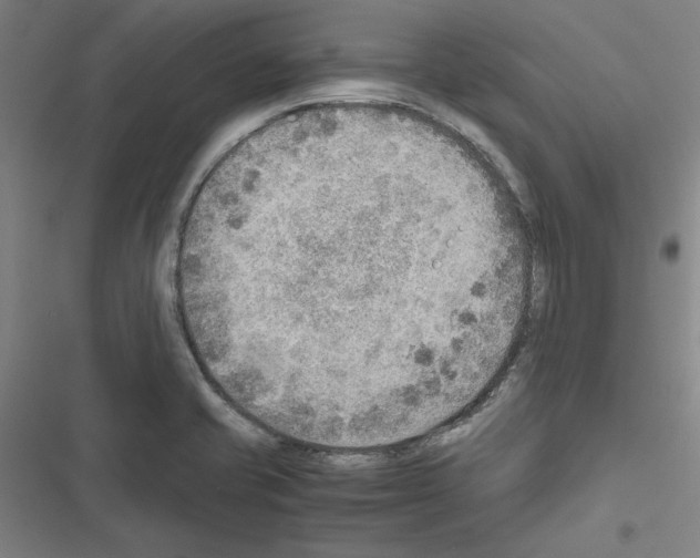 X0000116461421201001201251
