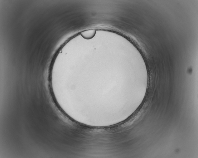 X0000116461422201001201251