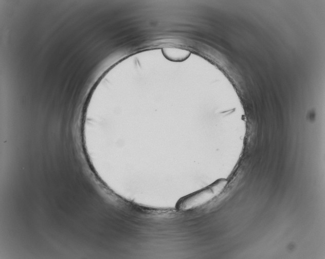X0000116461426201001201251