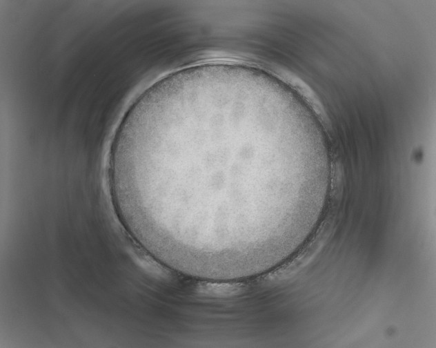 X0000116461427201001201251