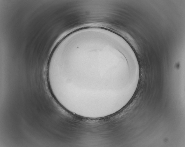 X0000116461428201001201251