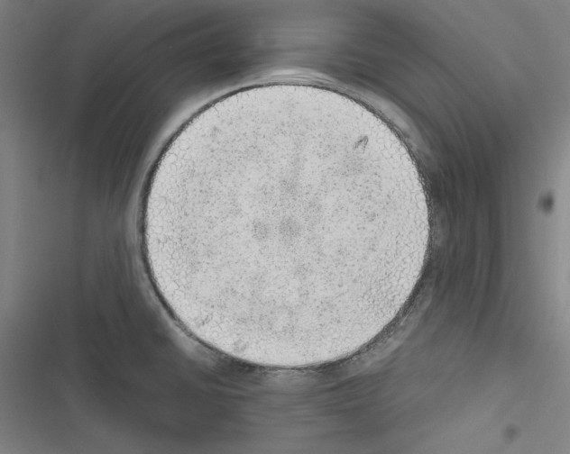 X0000116461430201001201251