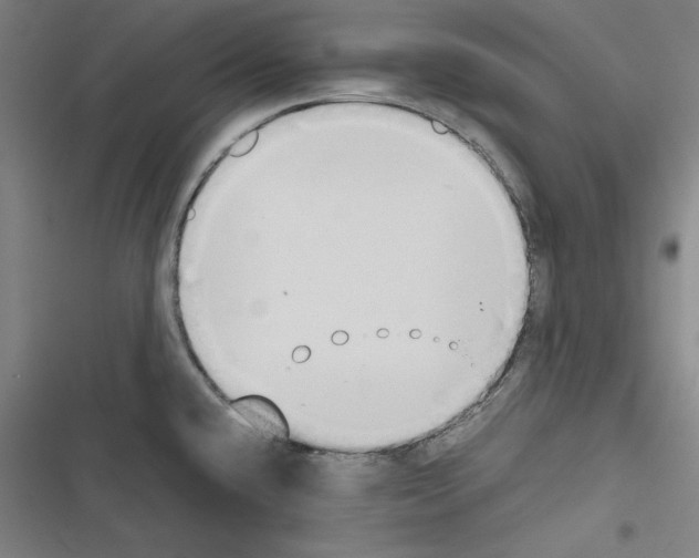 X0000116461432201001201251