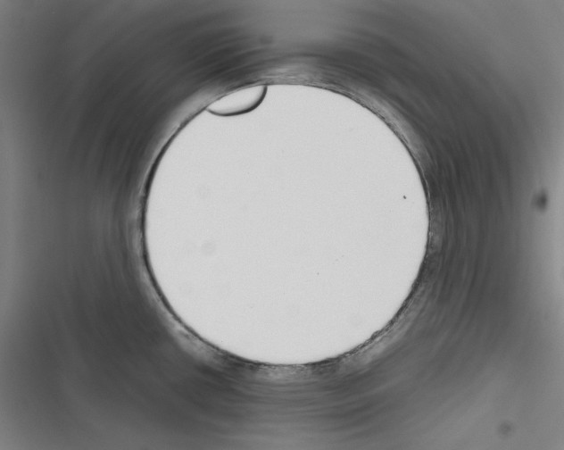 X0000116461434201001201251