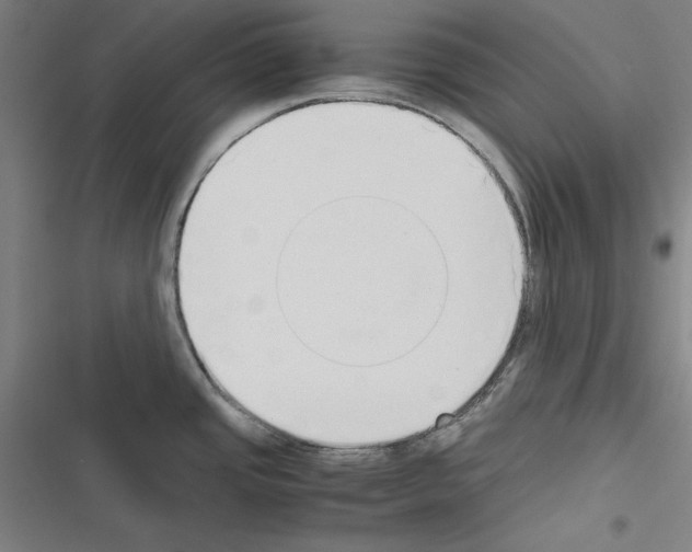 X0000116461437201001201251