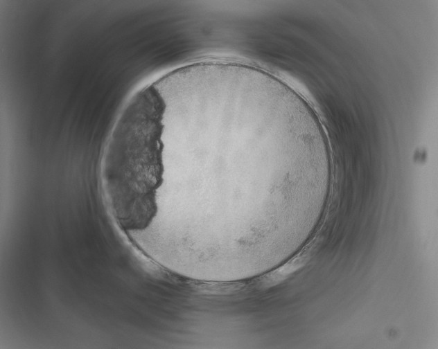 X0000116461440201001201251