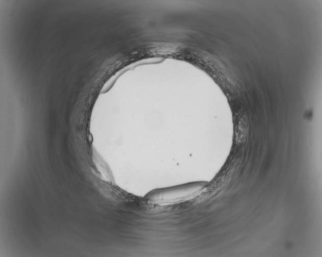 X0000116461441201001201250
