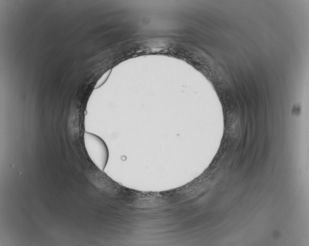 X0000116461442201001201250