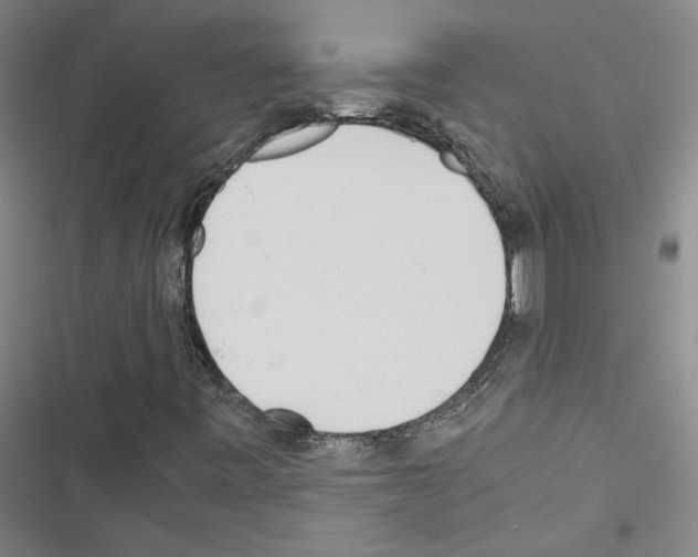 X0000116461443201001201250