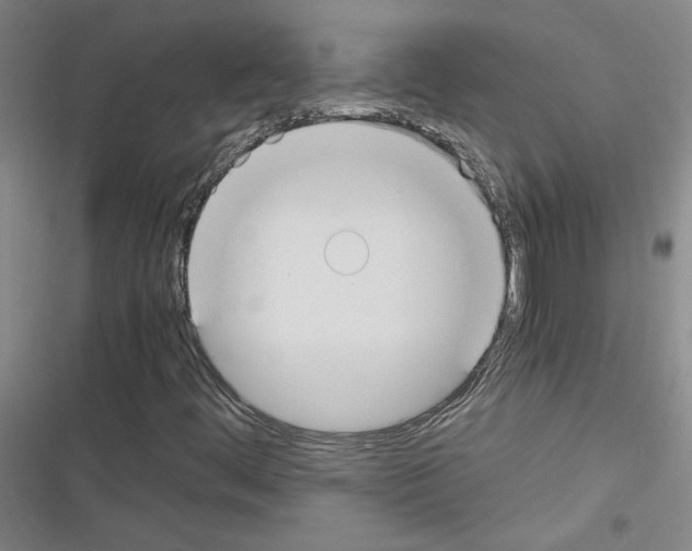 X0000116461444201001201250