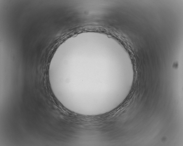 X0000116461445201001201250