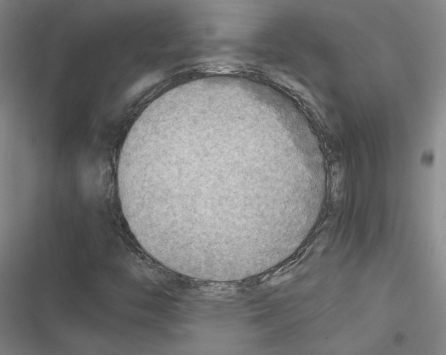 X0000116461446201001201250