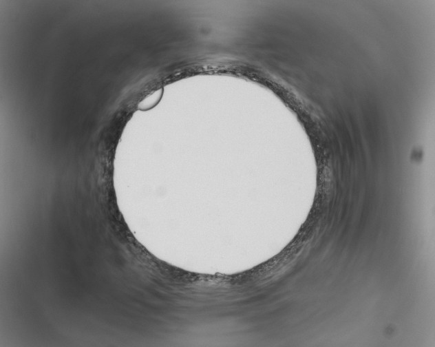 X0000116461447201001201250