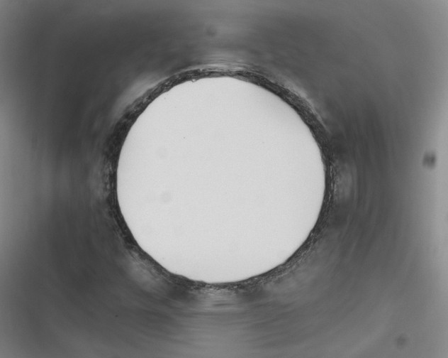 X0000116461448201001201250