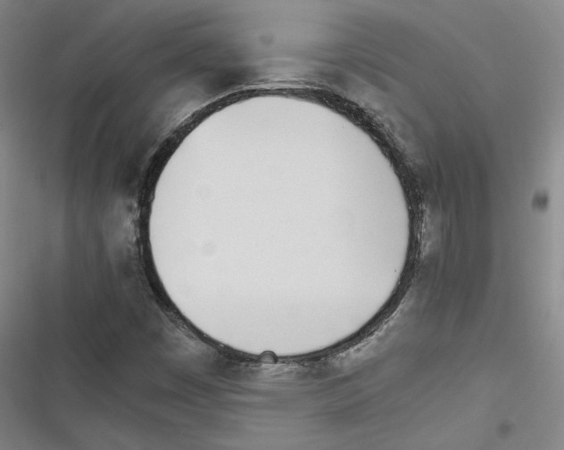 X0000116461449201001201250