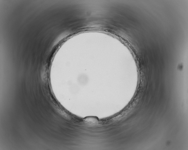X0000116461450201001201250