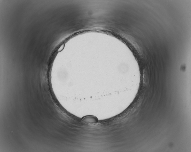 X0000116461452201001201250