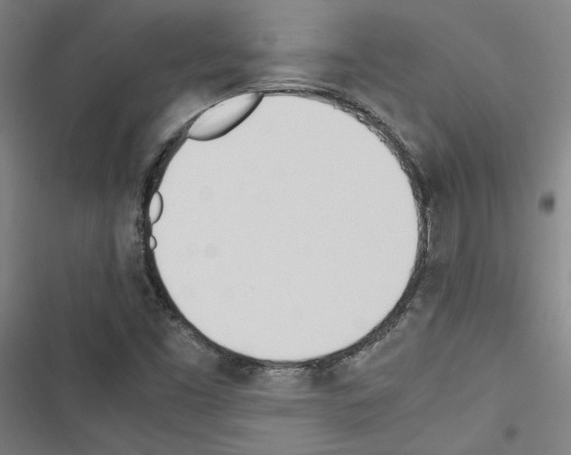 X0000116461453201001201250