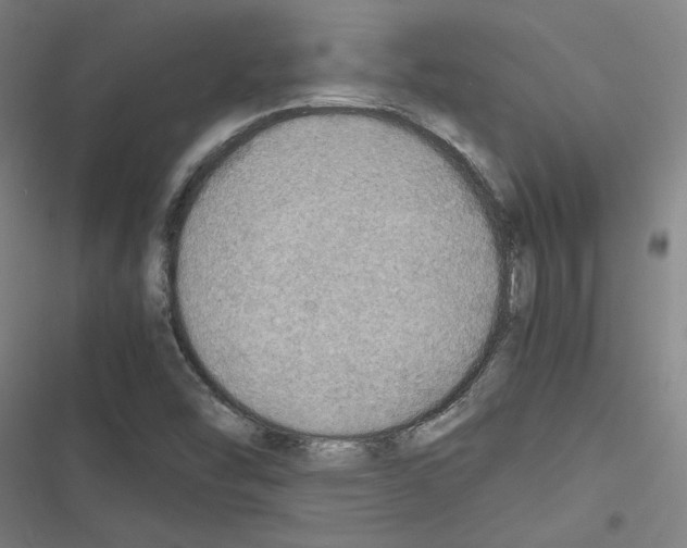 X0000116461454201001201250