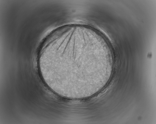 X0000116461455201001201250
