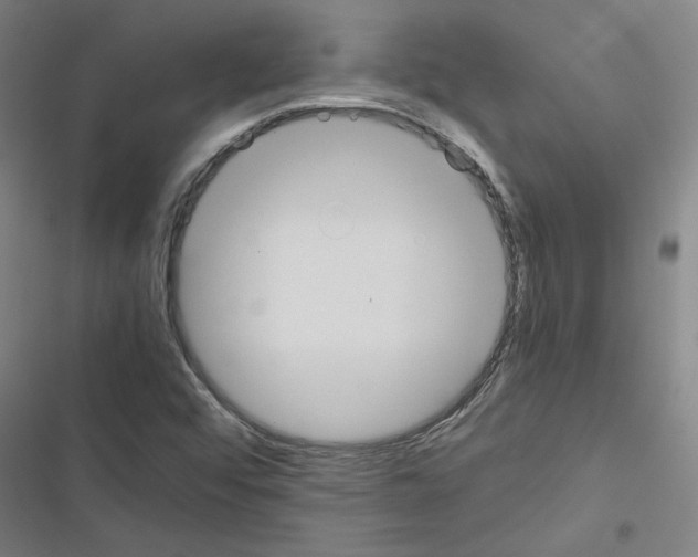 X0000116461456201001201250
