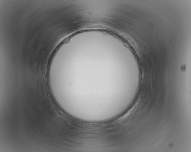 X0000116461457201001201250