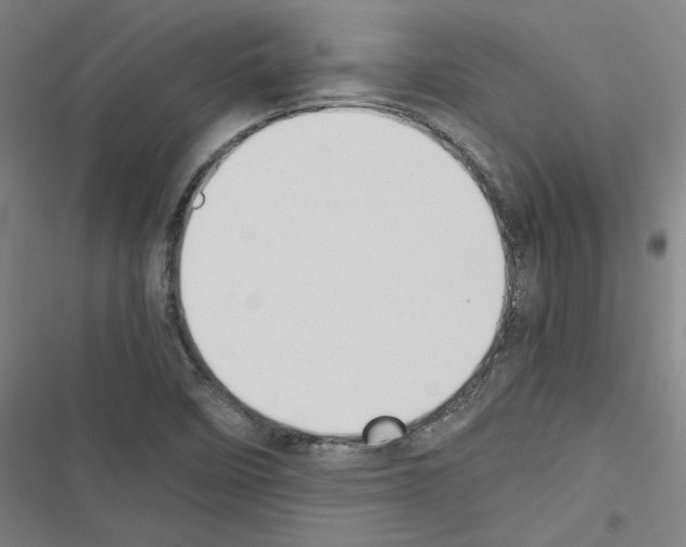 X0000116461458201001201250