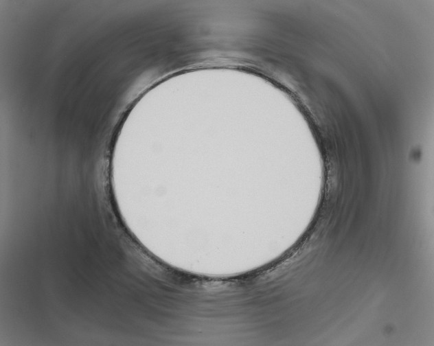 X0000116461459201001201250