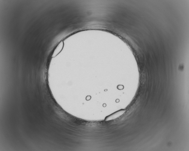 X0000116461461201001201250