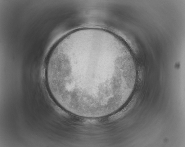 X0000116461462201001201250