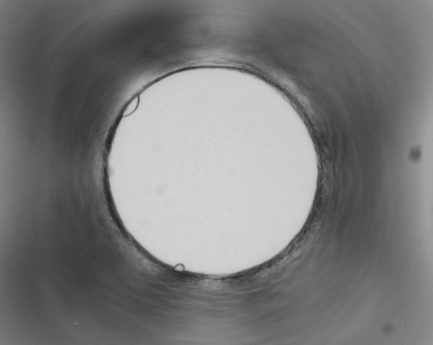 X0000116461463201001201250