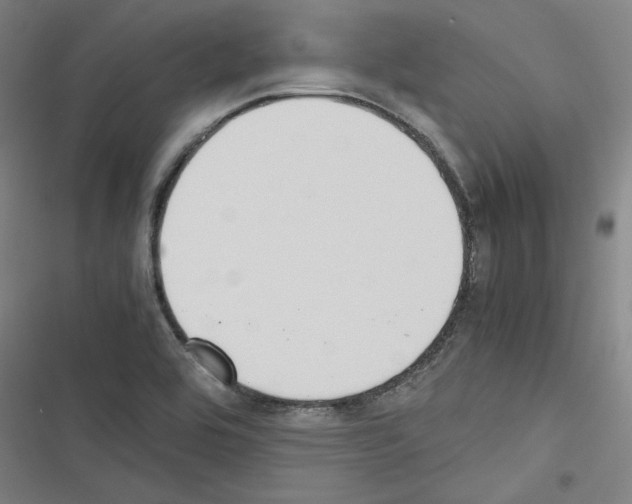 X0000116461464201001201250