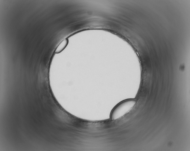 X0000116461465201001201250