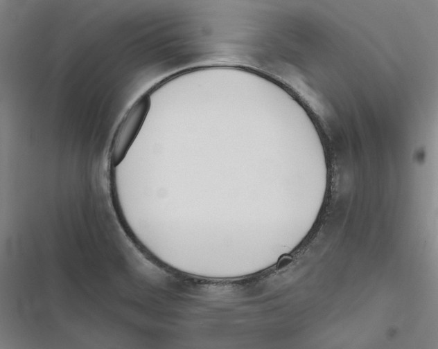 X0000116461468201001201250