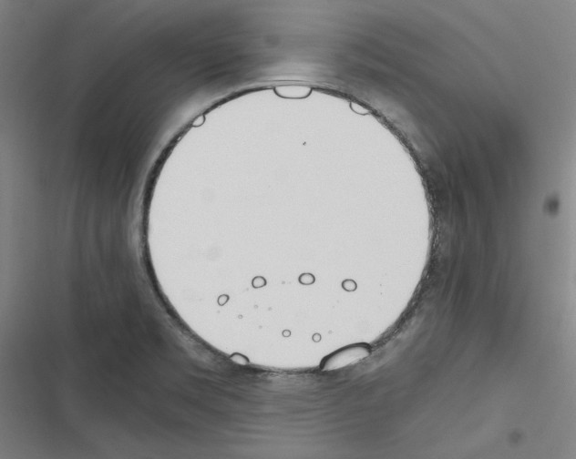 X0000116461469201001201250