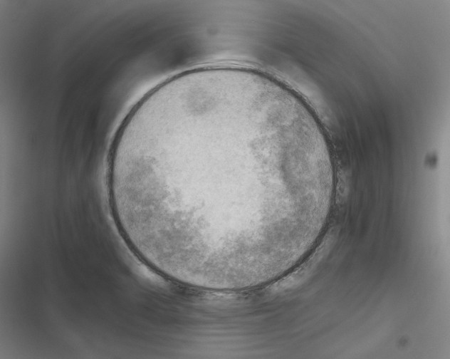 X0000116461470201001201250