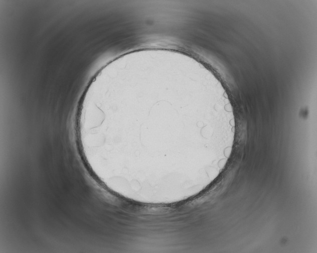 X0000116461471201001201250