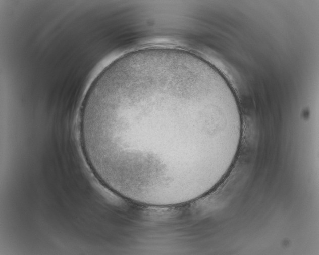 X0000116461474201001201250