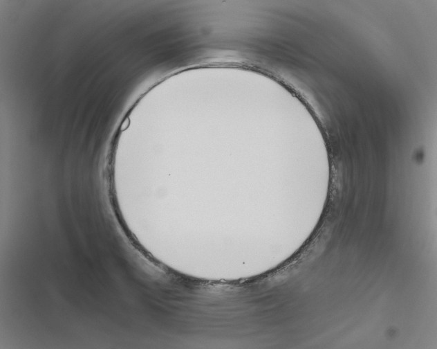 X0000116461475201001201250